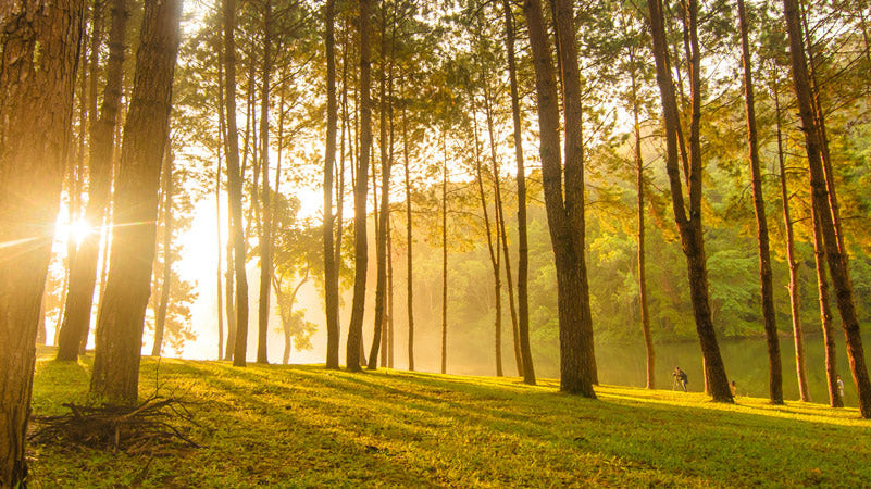 How We Can Encourage Course Development