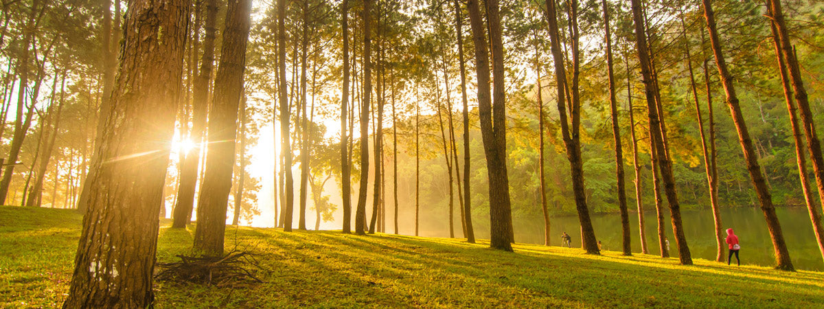 How We Can Encourage Course Development