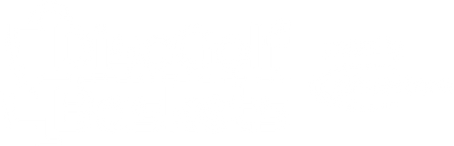 DiscGolfBaskets.com